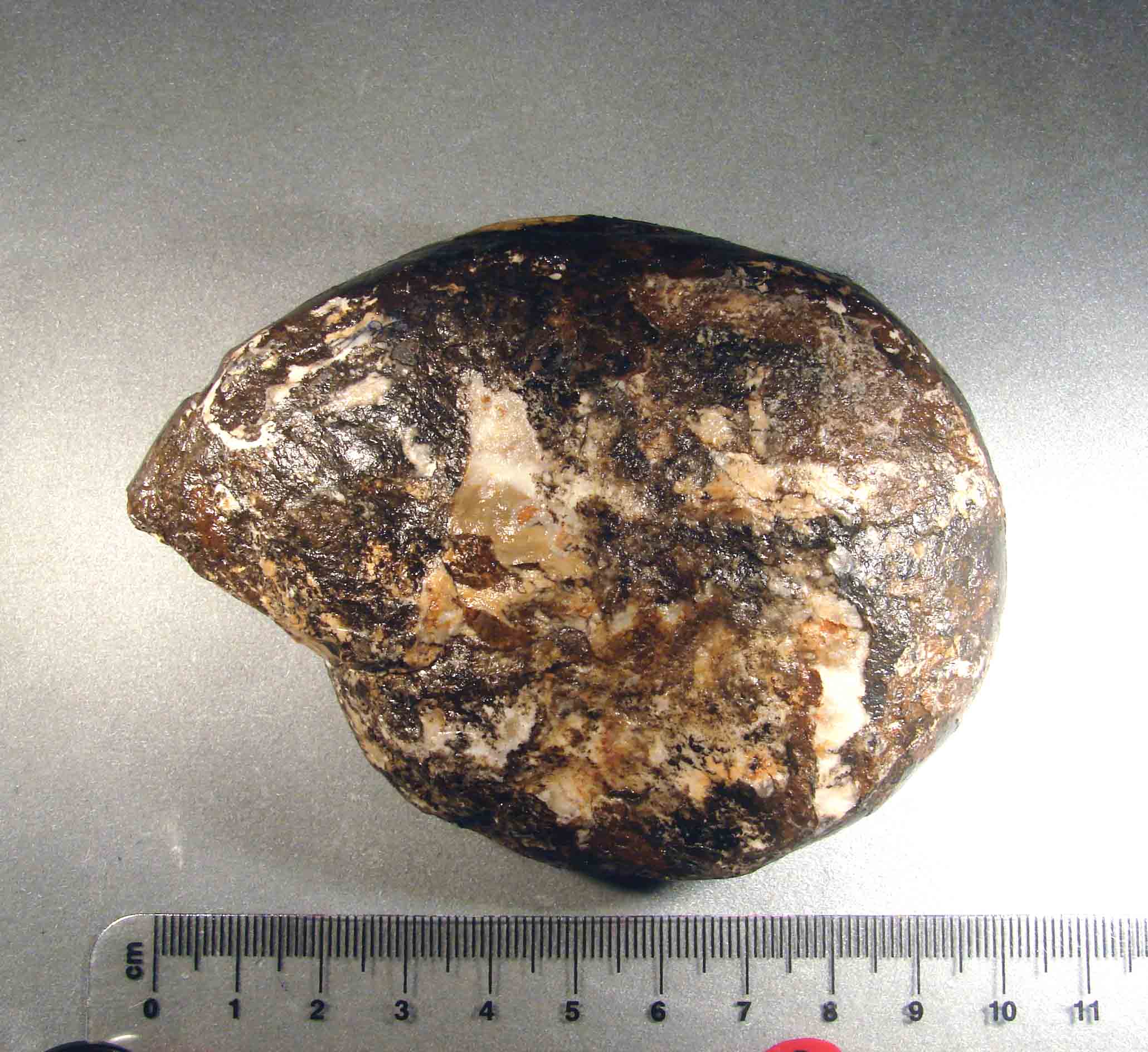 riconoscimento per.. esperti.